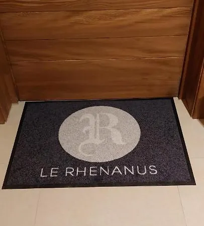LE RHENANUS Jean Geiler de Kaysersberg Sélestat Extérieur photo