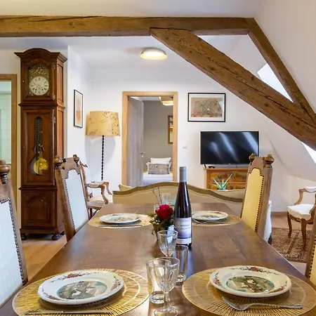 LE RHENANUS Jean Geiler de Kaysersberg Sélestat Extérieur photo