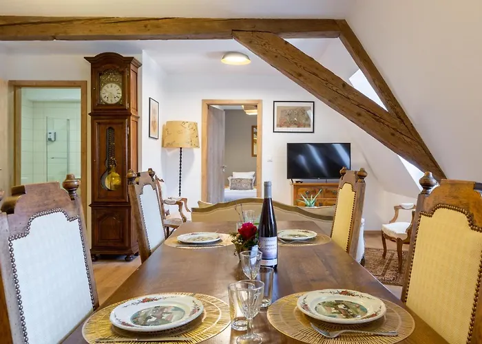 Le Rhenanus Jean Geiler De Kaysersberg - Appartement Ideal Pour Famille, Au Calme - Centre Ville - Parking Gratuit