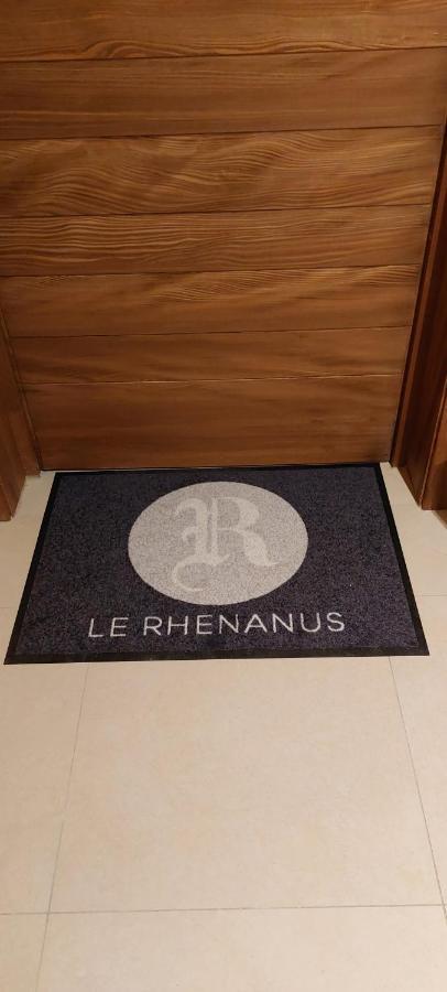 Le Rhenanus: Family-friendly In Quiet Center With Free Parking Apartment Selestat